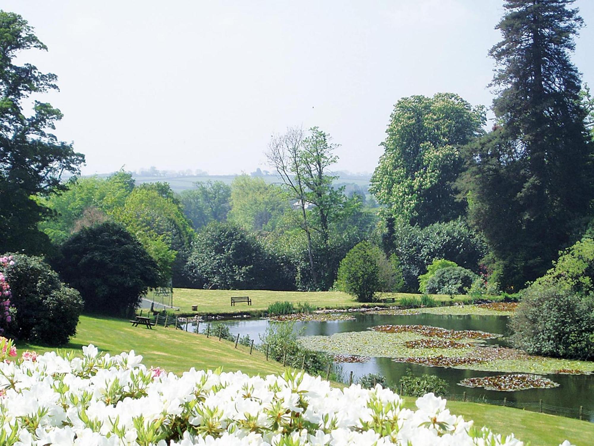Saint Cleer Heligan - B6522ヴィラ エクステリア 写真