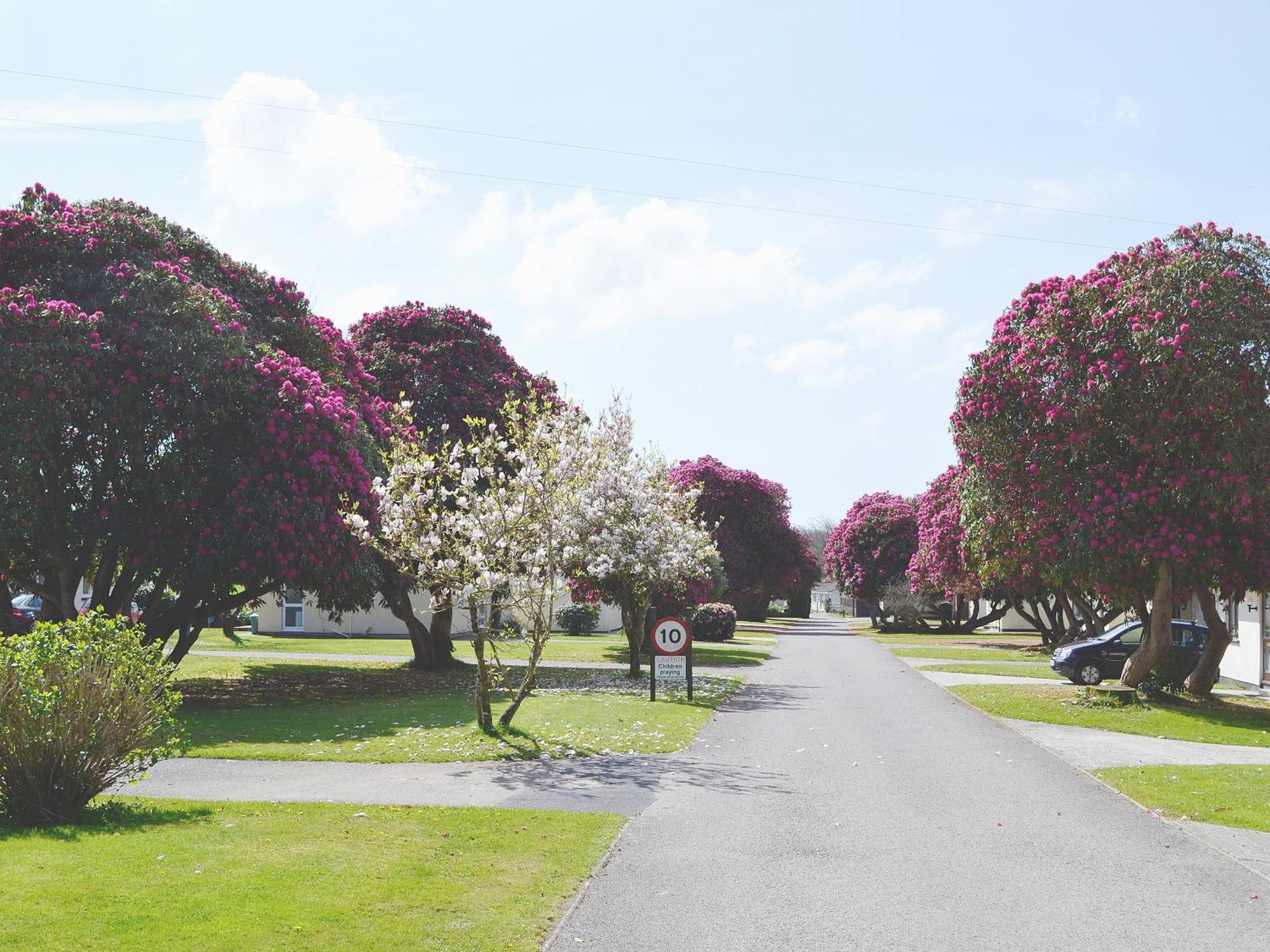 Saint Cleer Heligan - B6522ヴィラ エクステリア 写真